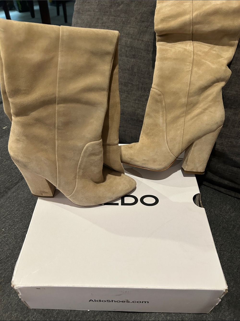 ALDO Beige Suede Over-The-Knee Block Heel Boots